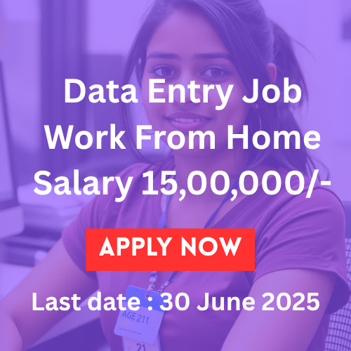 Data Entry Jobs Work From Home for Freshers